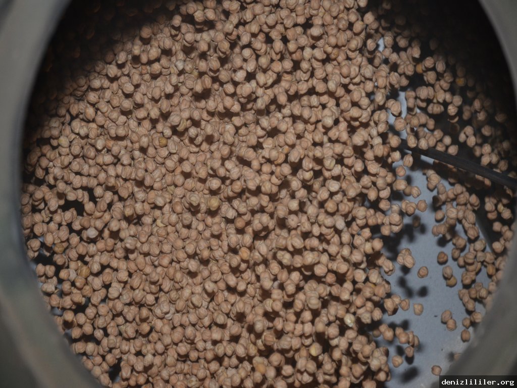 Yeni Toplu Taşıma Terminali